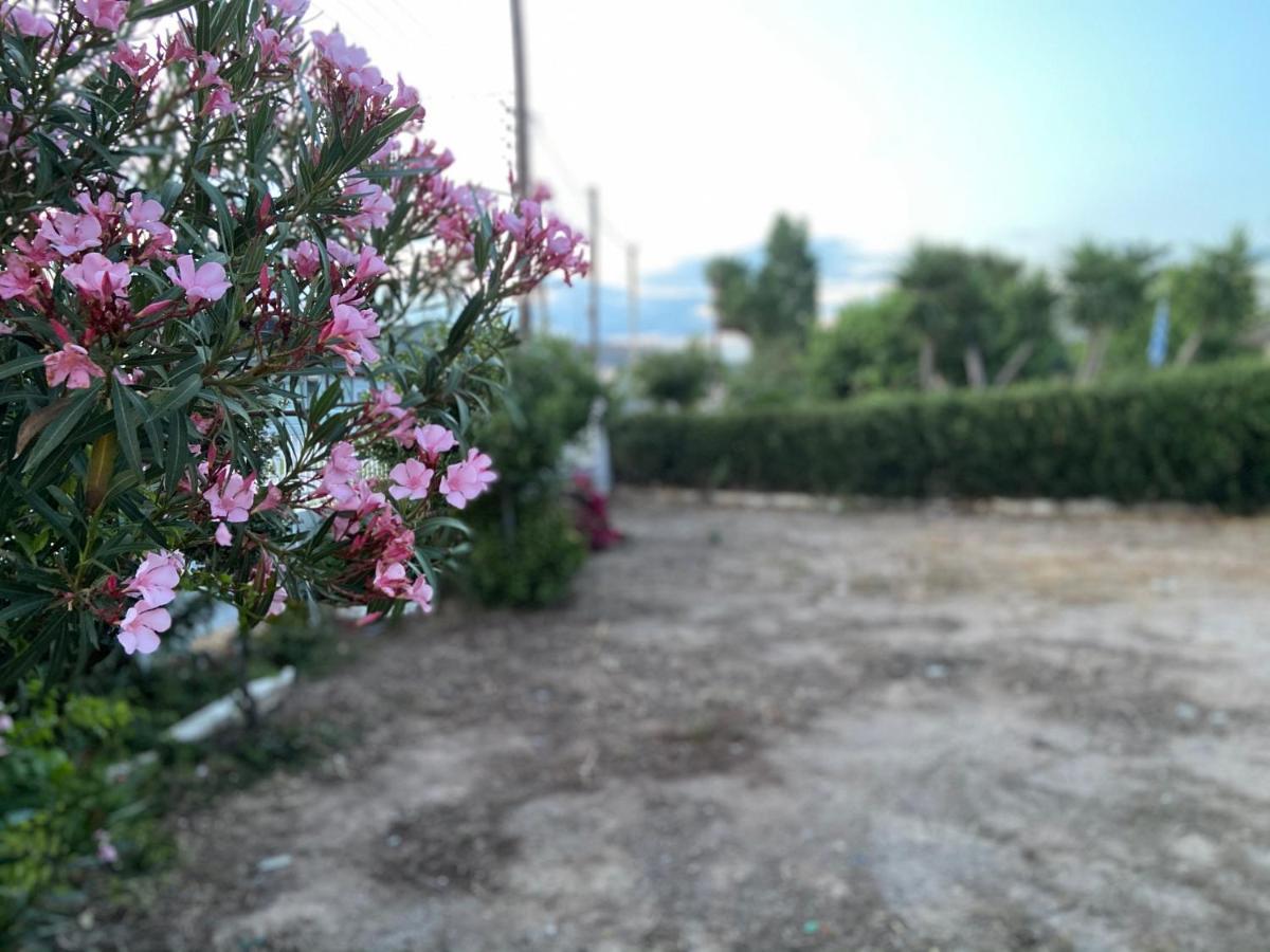 Athens Riviera: 2 Bed / 3' Walk From The Beach Agia Marina  Bagian luar foto